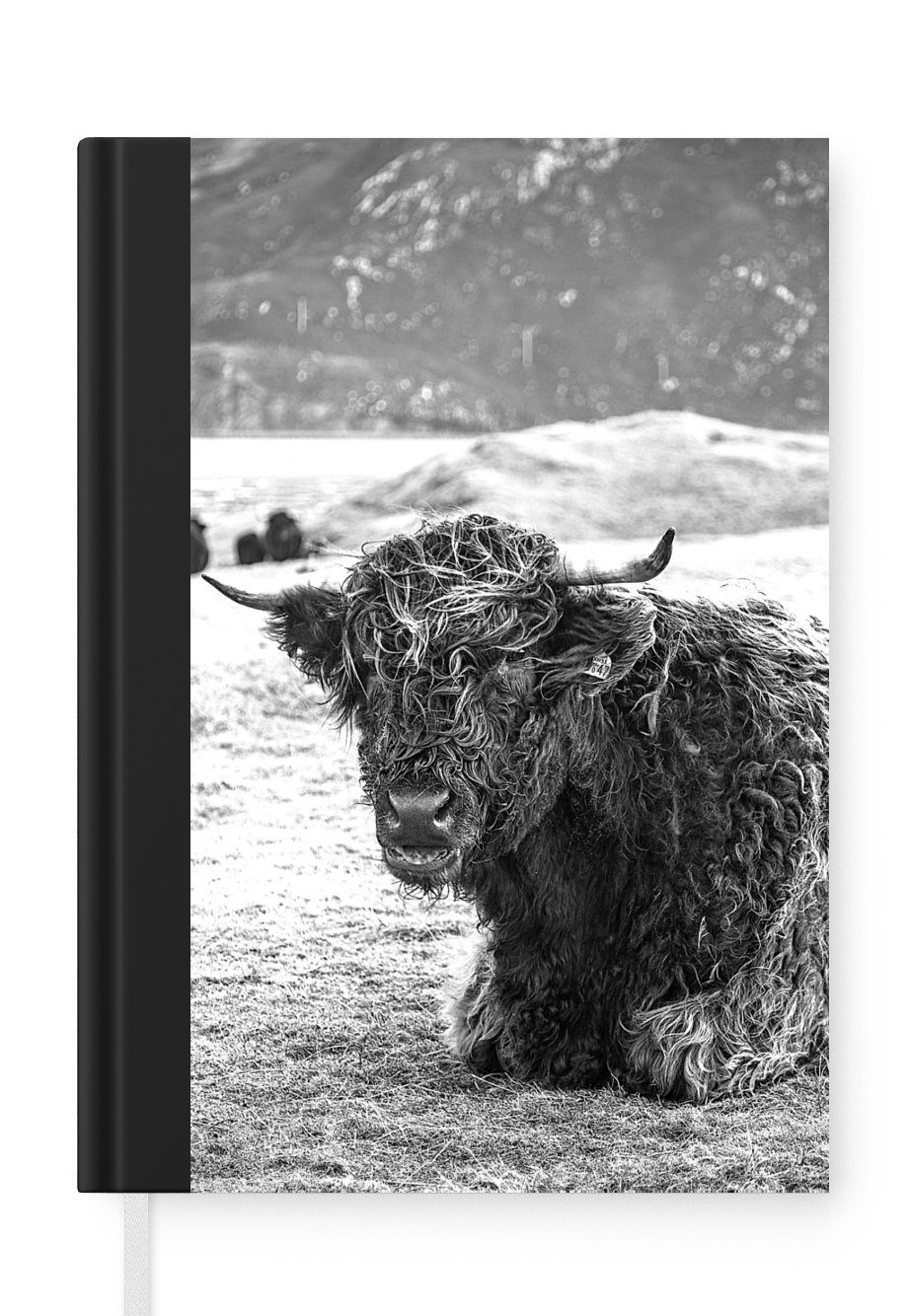 MuchoWow Notizbuch Schottischer Highlander - Berg - Tiere, Journal, Merkzettel, Tagebuch, Notizheft, A5, 98 Seiten, Haushaltsbuch
