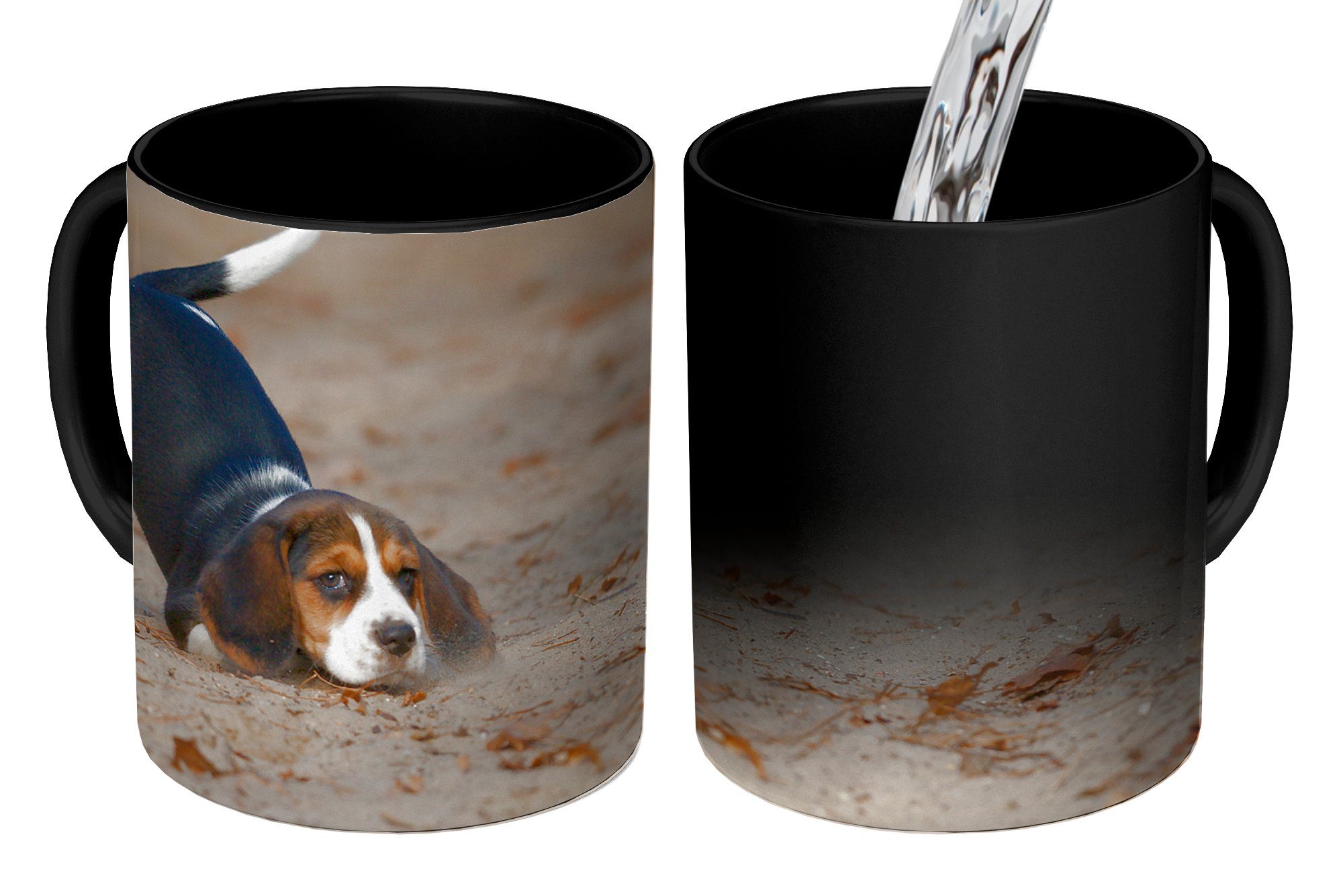 MuchoWow Tasse Ein junger Beagle-Welpe spielt im Sand, Keramik, Farbwechsel, Kaffeetassen, Teetasse, Zaubertasse, Geschenk