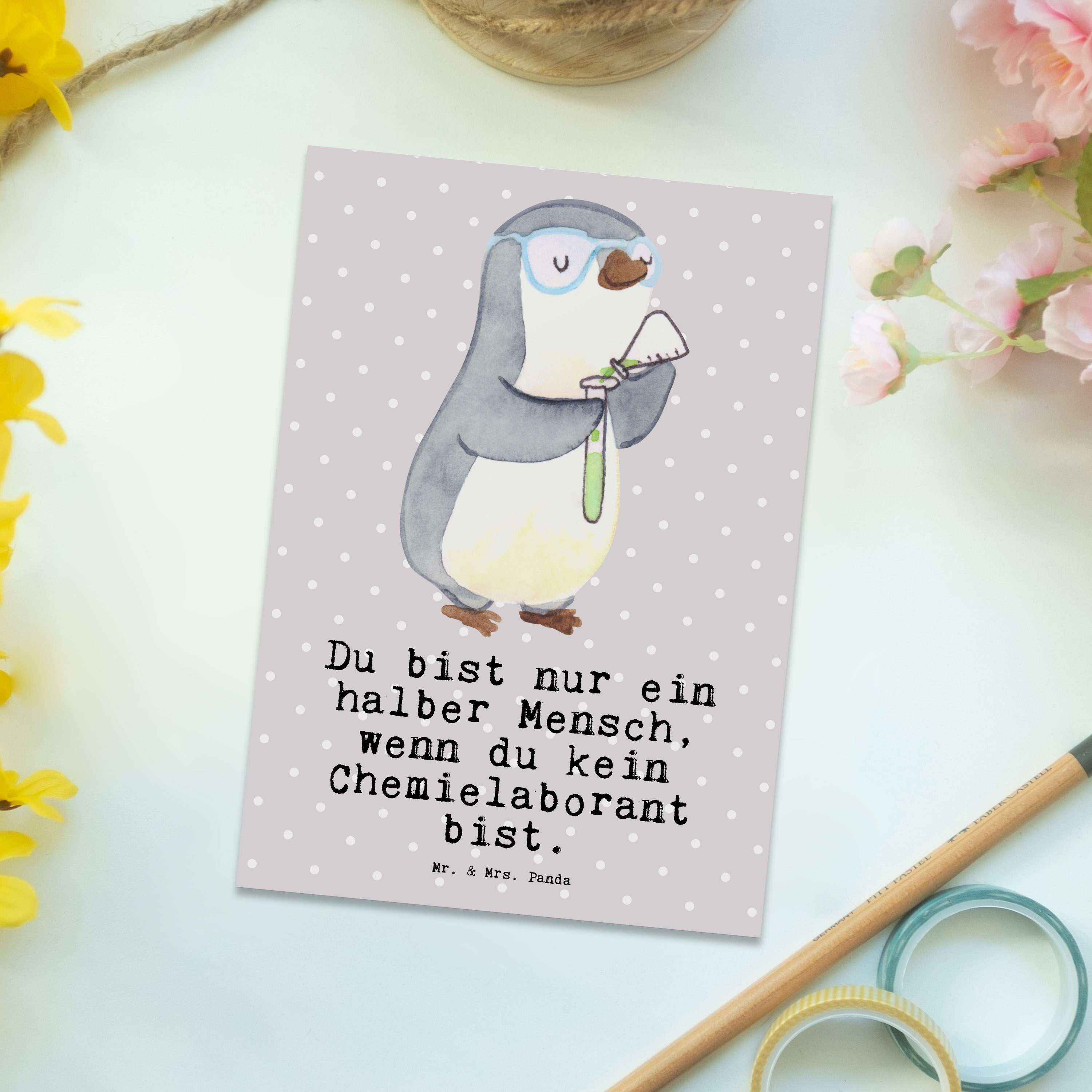 Postkarte Ansichtskarte, & mit Geschenk, - Mr. Wis - Pastell Panda Grau Chemielaborant Mrs. Herz