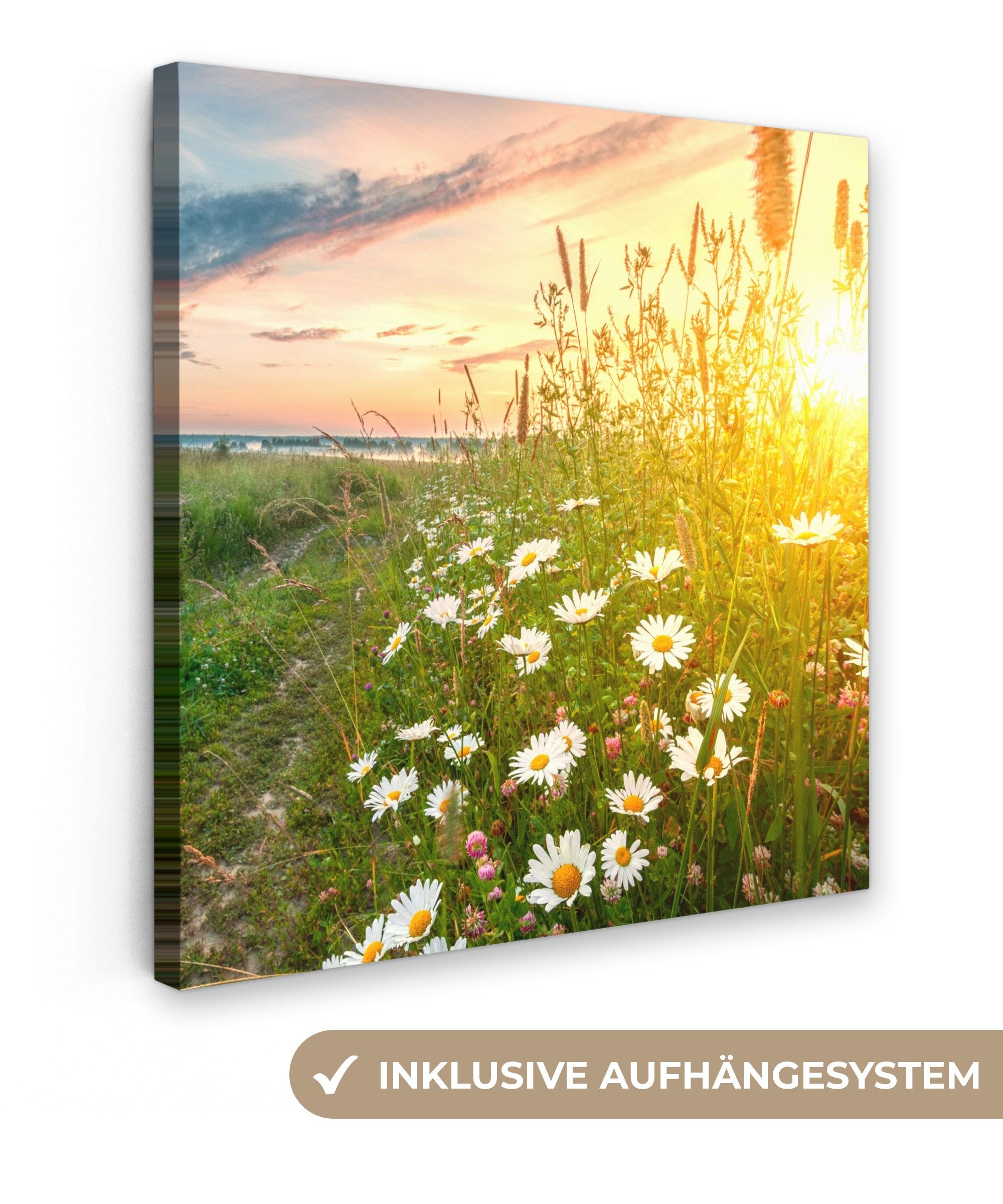 OneMillionCanvasses® Leinwandbild Blumen - Gänseblümchen - Natur - Sonne - günstig online kaufen