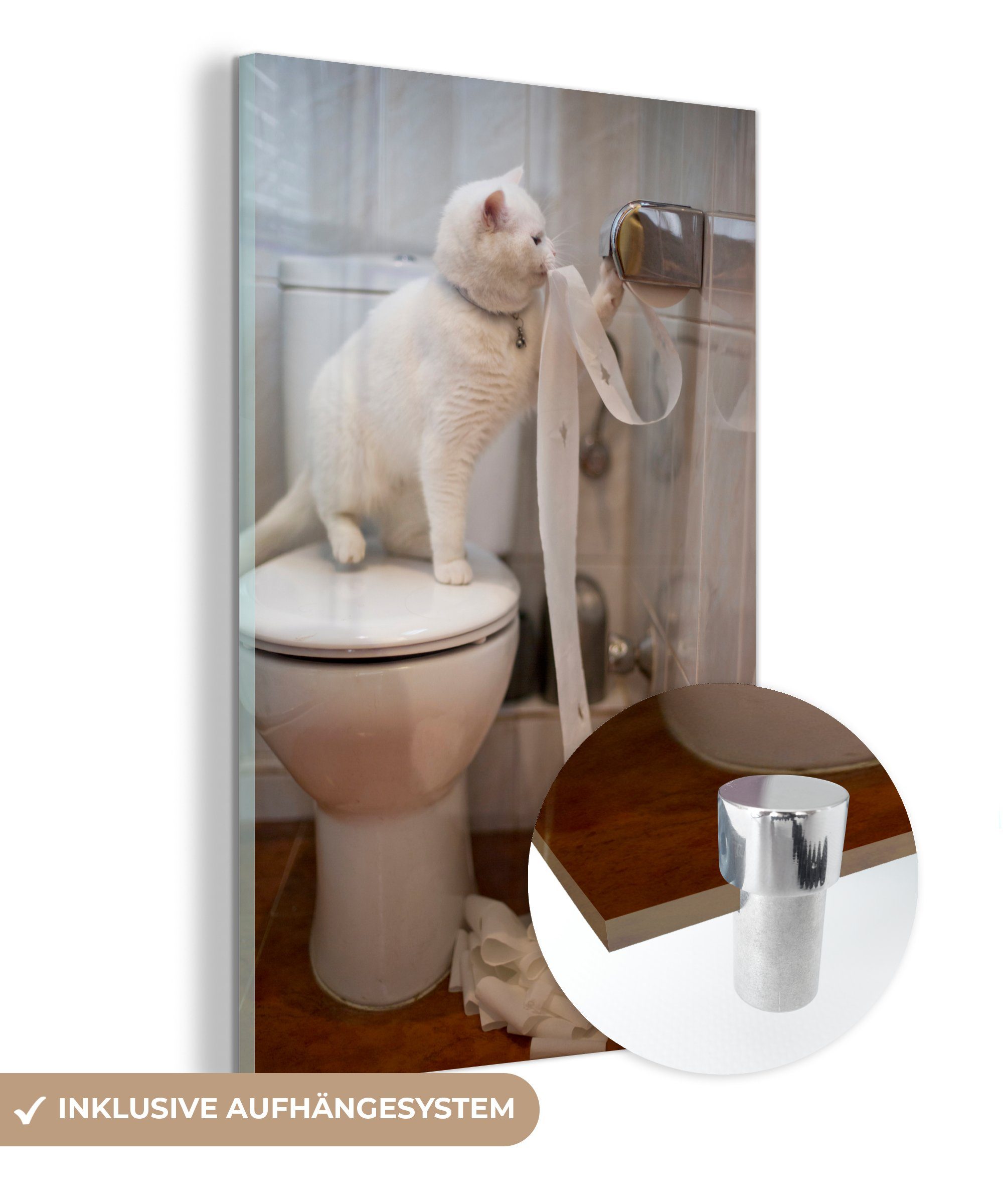 MuchoWow Acrylglasbild Katze spielt mit Toilettenpapier, Inkl. Aufhängung, günstig online kaufen