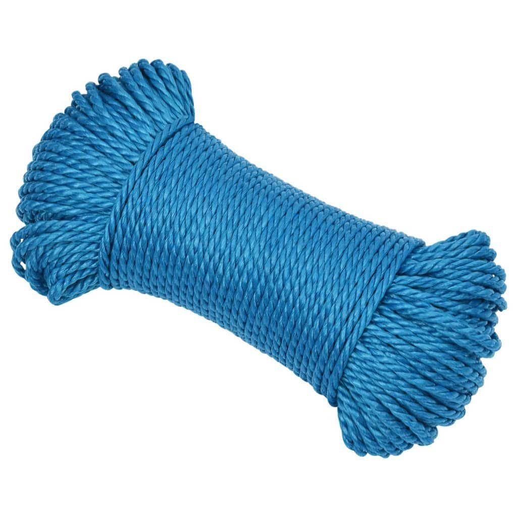 vidaXL Arbeitsseil Blau 6 mm 25 günstig online kaufen