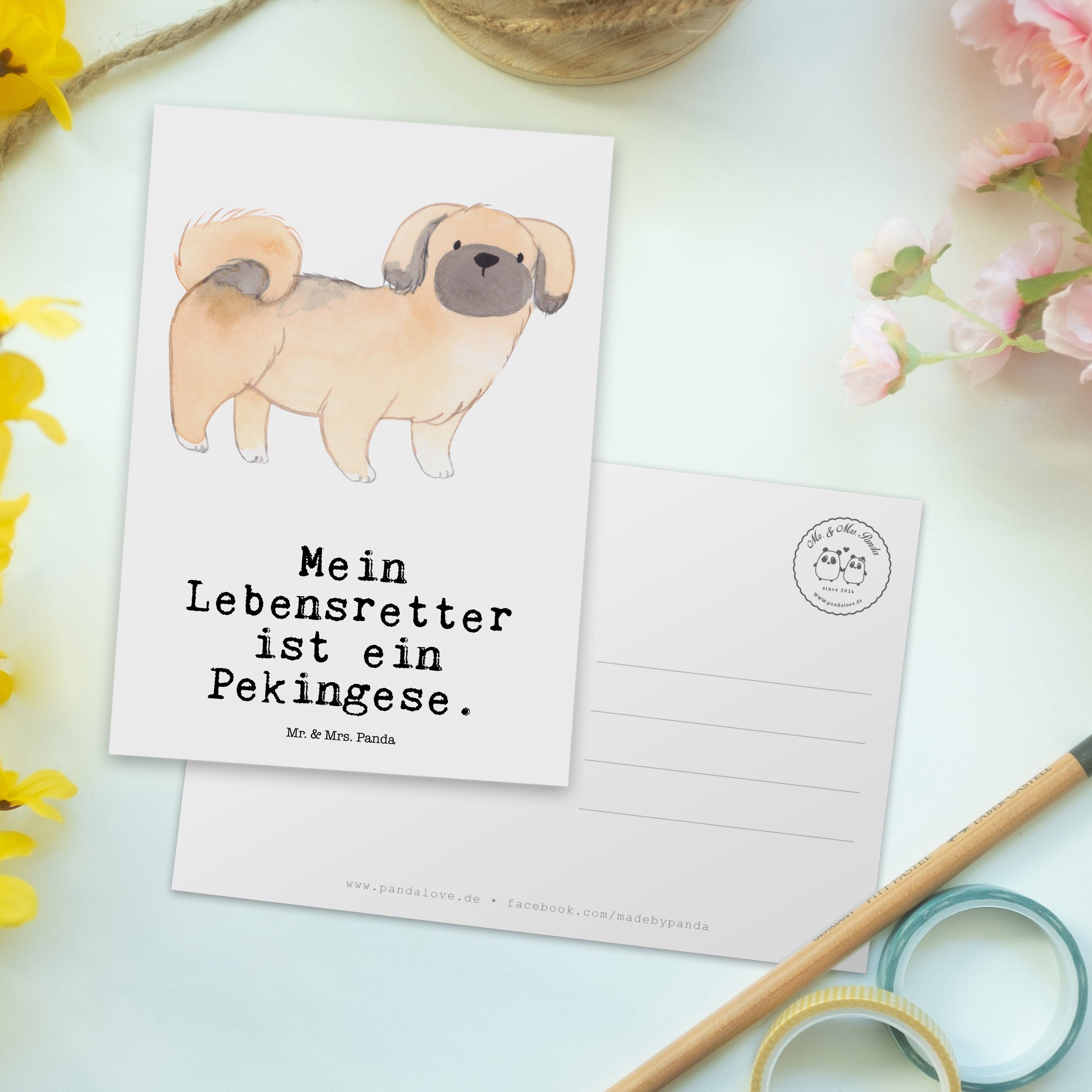 Geschenk, Lebensretter Weiß Grußkarte Panda Mrs. & Pekingese Schenken, - Karte, Mr. - Postkarte