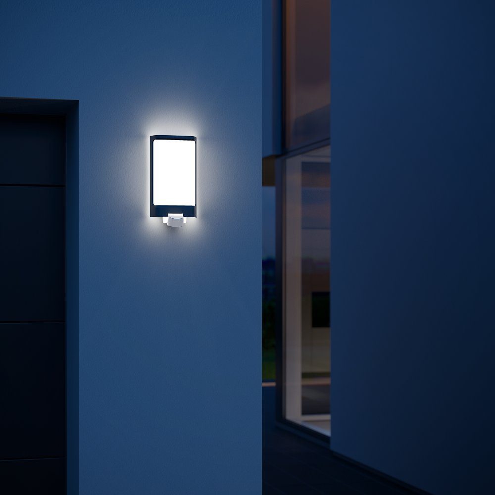 steinel LED Außen-Wandleuchte L 240 S, LED fest integriert, Warmweiß, Wandlampe, 180° Bewegungsmelder, LED