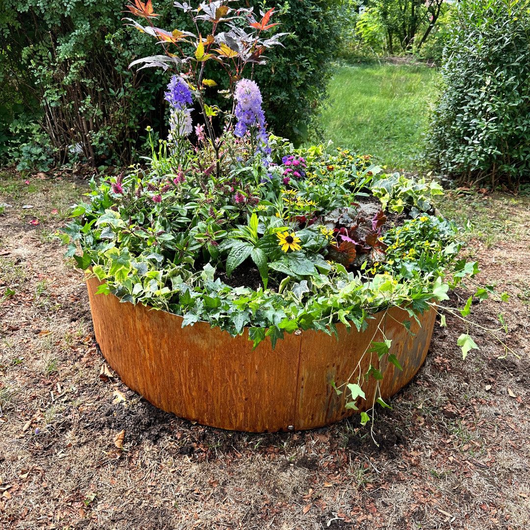 Czaja Pflanzkübel Pflanzring Ø 60 cm Edelrost - Hochbeet Pflanzgefäß, Pflankübel, unberostet, rostet mit der Zeit