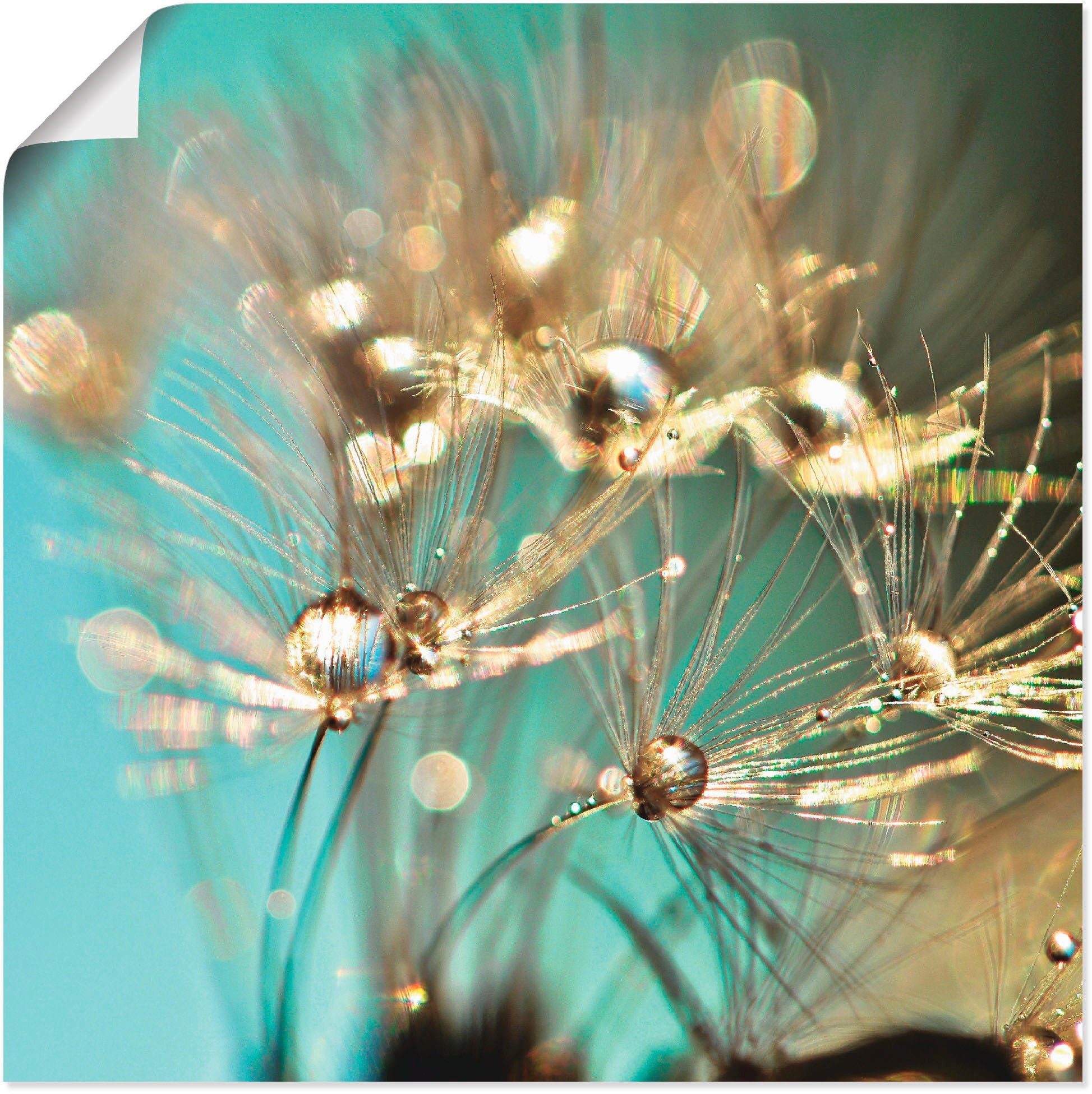 Artland Poster Pusteblume glänzendes Gold, Blumen (1 St), ohne Rahmen