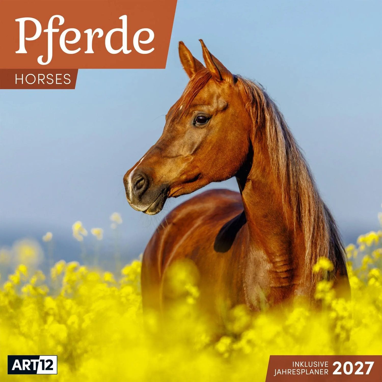 Ackermann Wandkalender Pferde Kalender 2027 - 30x30 - Art12