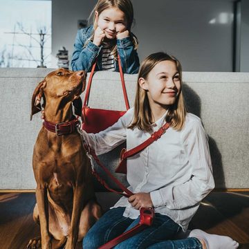 Hunter Tierbedarf Hundeleine Verstellbare Hunde-Führleine Solid Education, Leder