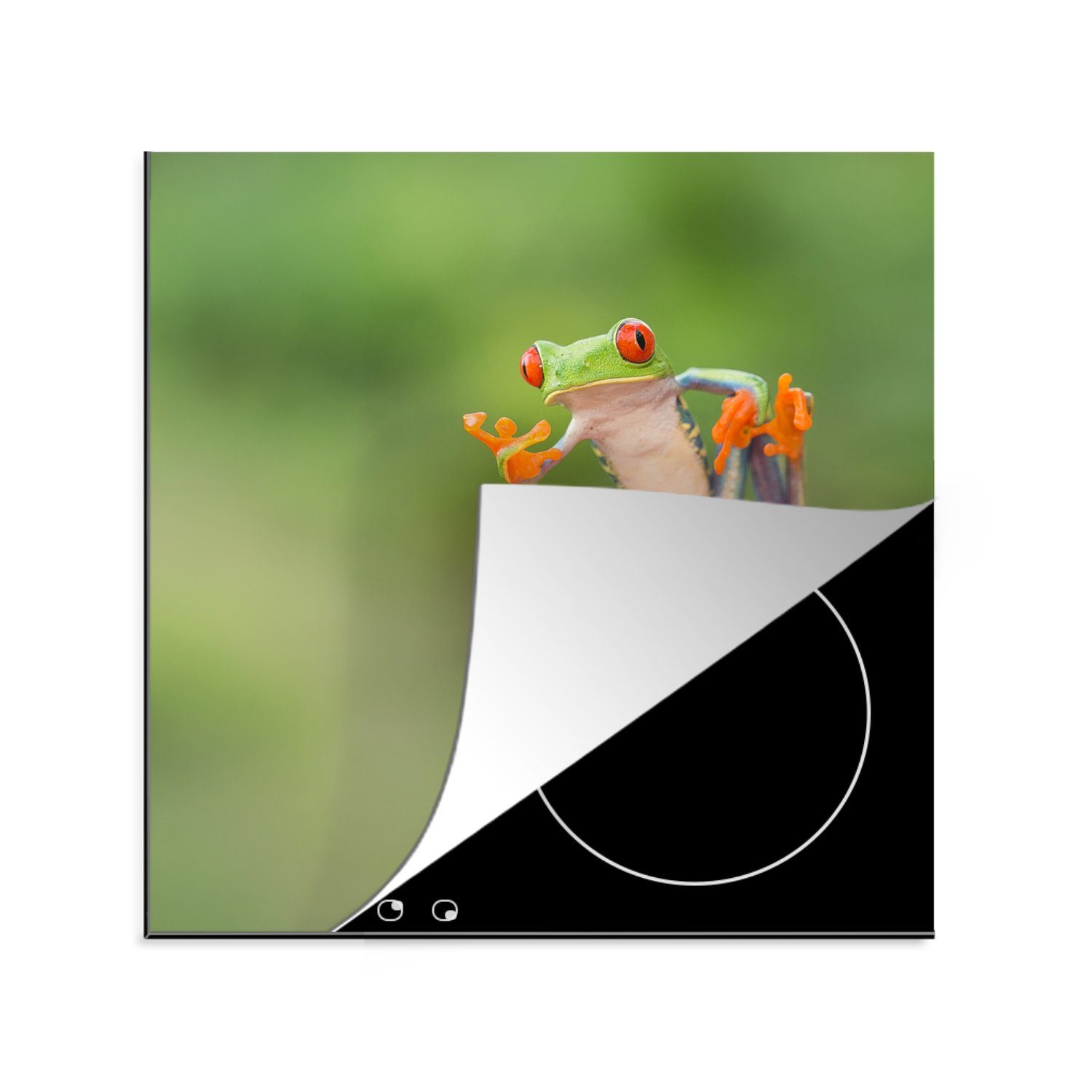 MuchoWow Herdblende-/Abdeckplatte Der rotäugige Laubfrosch in Costa Rica, Vinyl, (1 tlg), 78x78 cm, Ceranfeldabdeckung, Arbeitsplatte für küche | Herdabdeckplatten