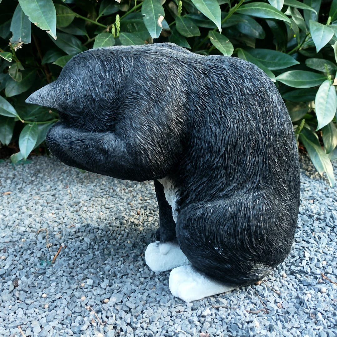 mit in Katzen oben Aspinaworld Pfote cm Sitzende Gartenfigur schwarz Figur 25 Gartendeko