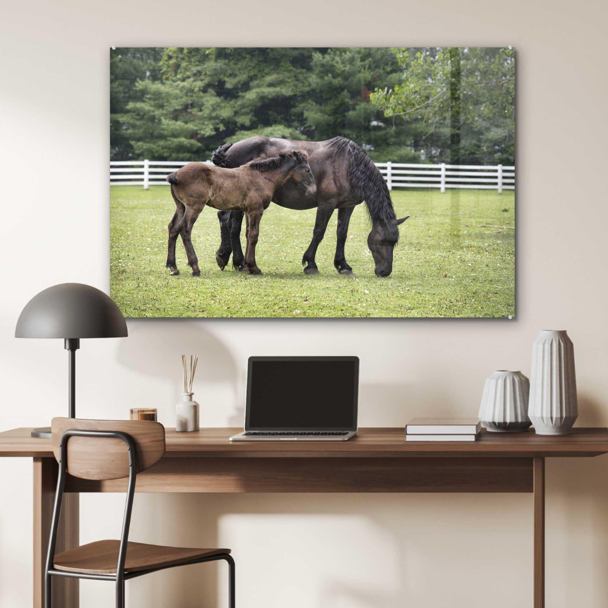- (1 Acrylglasbilder Pferde & Acrylglasbild Schlafzimmer Gras MuchoWow St), Wohnzimmer Baum, -