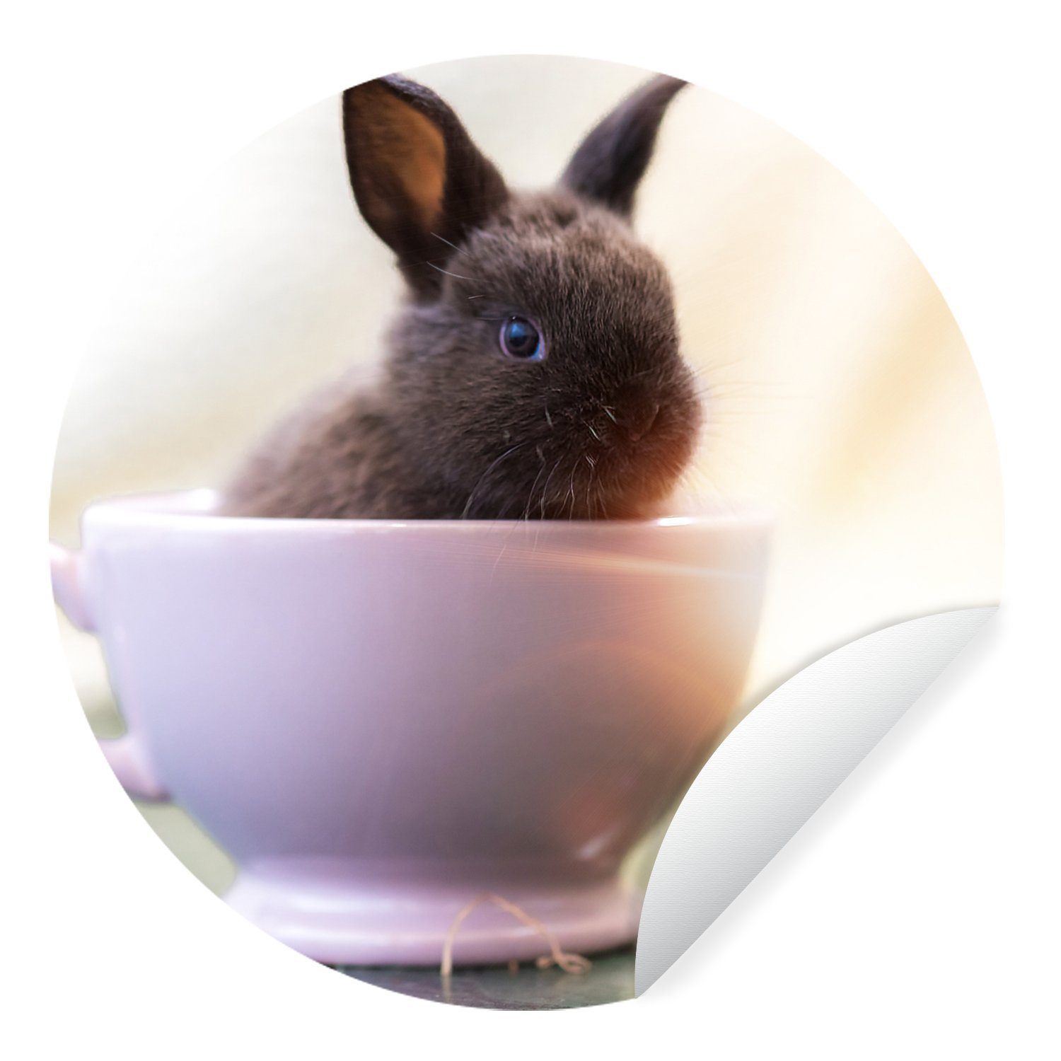 MuchoWow Wandsticker Kaninchen - Baby - Teetasse (1 St), Tapetenkreis für Kinderzimmer, Tapetenaufkleber, Rund, Wohnzimmer