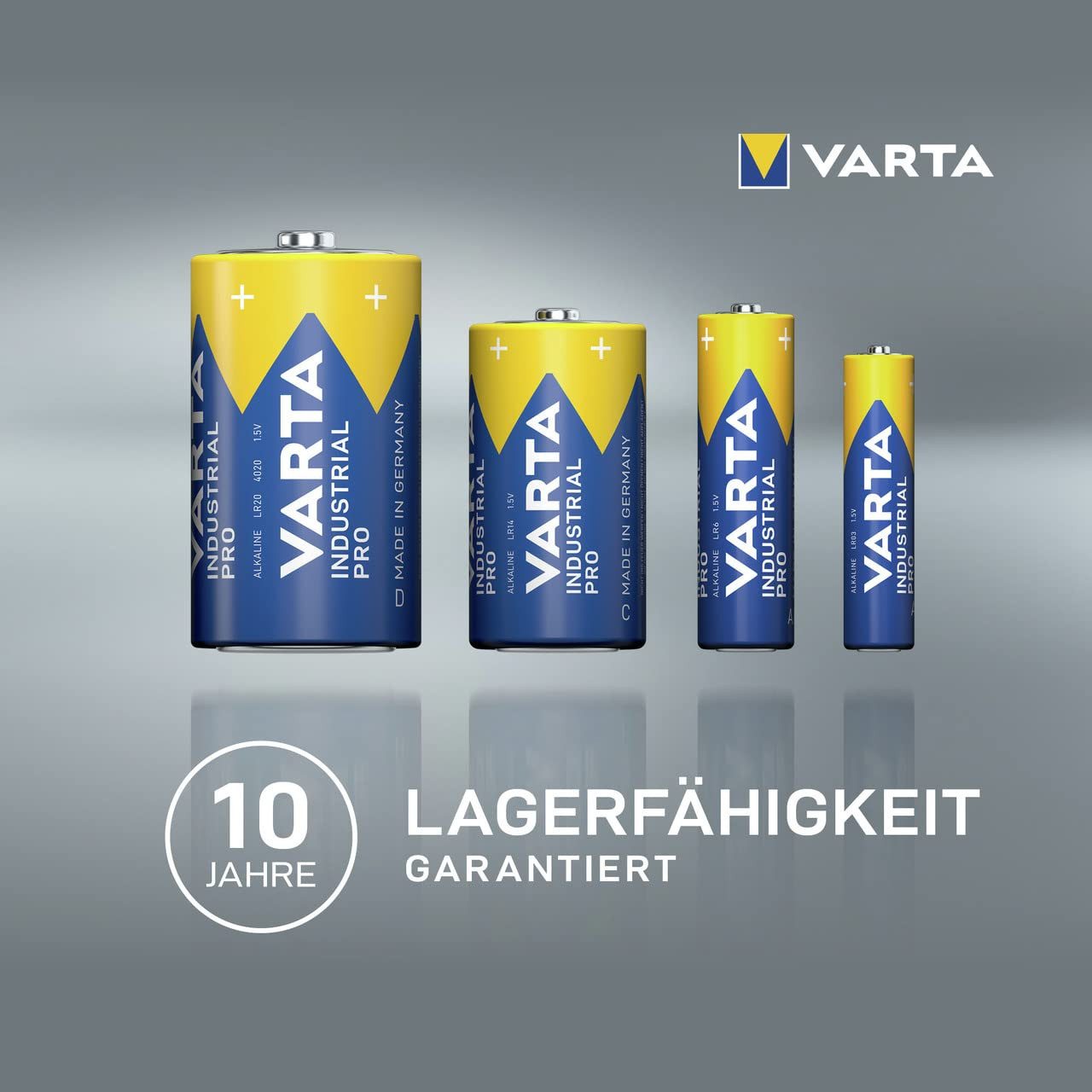 VARTA Batterien D Mono, 20 Stück, Industrial Pro, Alkaline Batterie, 1,5V Batterie, (1 St)