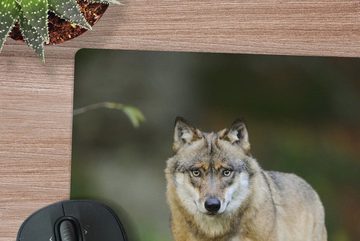 MuchoWow Gaming Mauspad Wolf - Asien - Pflanzen (1-St), Mousepad mit Rutschfester Unterseite, Gaming, 40x40 cm, XXL, Großes