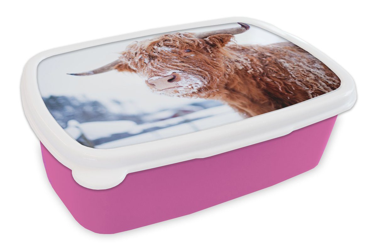 MuchoWow Lunchbox Schottischer Hochländer - Schnee - Winer, Kunststoff, (2-tlg), Brotbox für Erwachsene, Brotdose Kinder, Snackbox, Mädchen, Kunststoff rosa