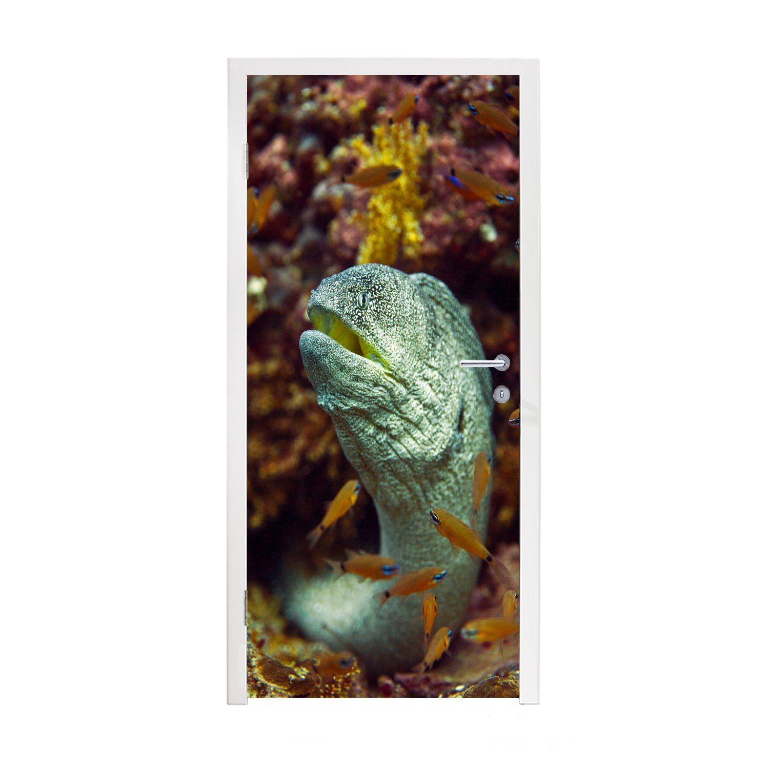 MuchoWow Türtapete Fische - Korallen - Ozean, Matt, bedruckt, (1 St), Fototapete für Tür, Türaufkleber, 75x205 cm
