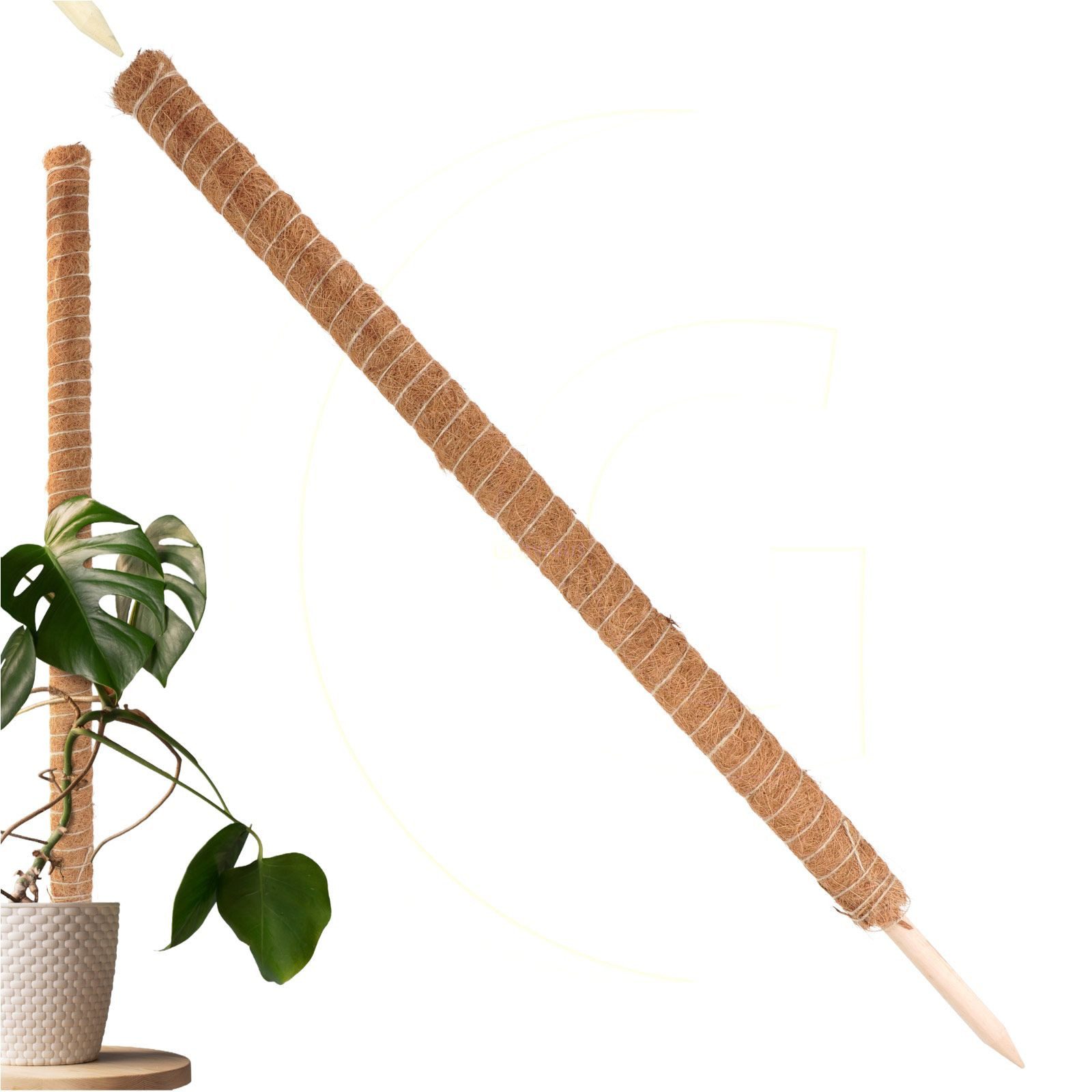 Gravidus Rankhilfe ​Erweiterbare Rankhilfe 110 cm mit Kokosfilz für Zimmerp günstig online kaufen