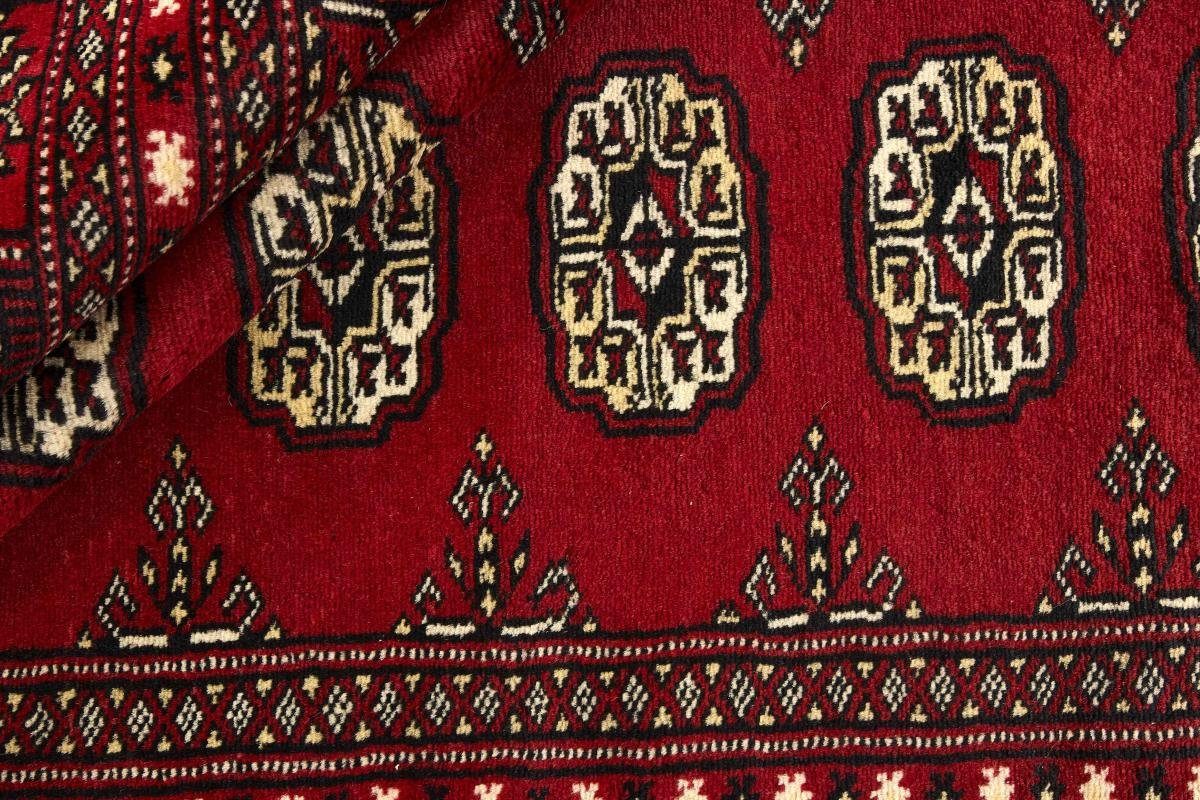 Orientteppich Pakistan Buchara Orientteppich, mm Trading, Handgeknüpfter 170x243 Höhe: 2ply 8 rechteckig, Nain