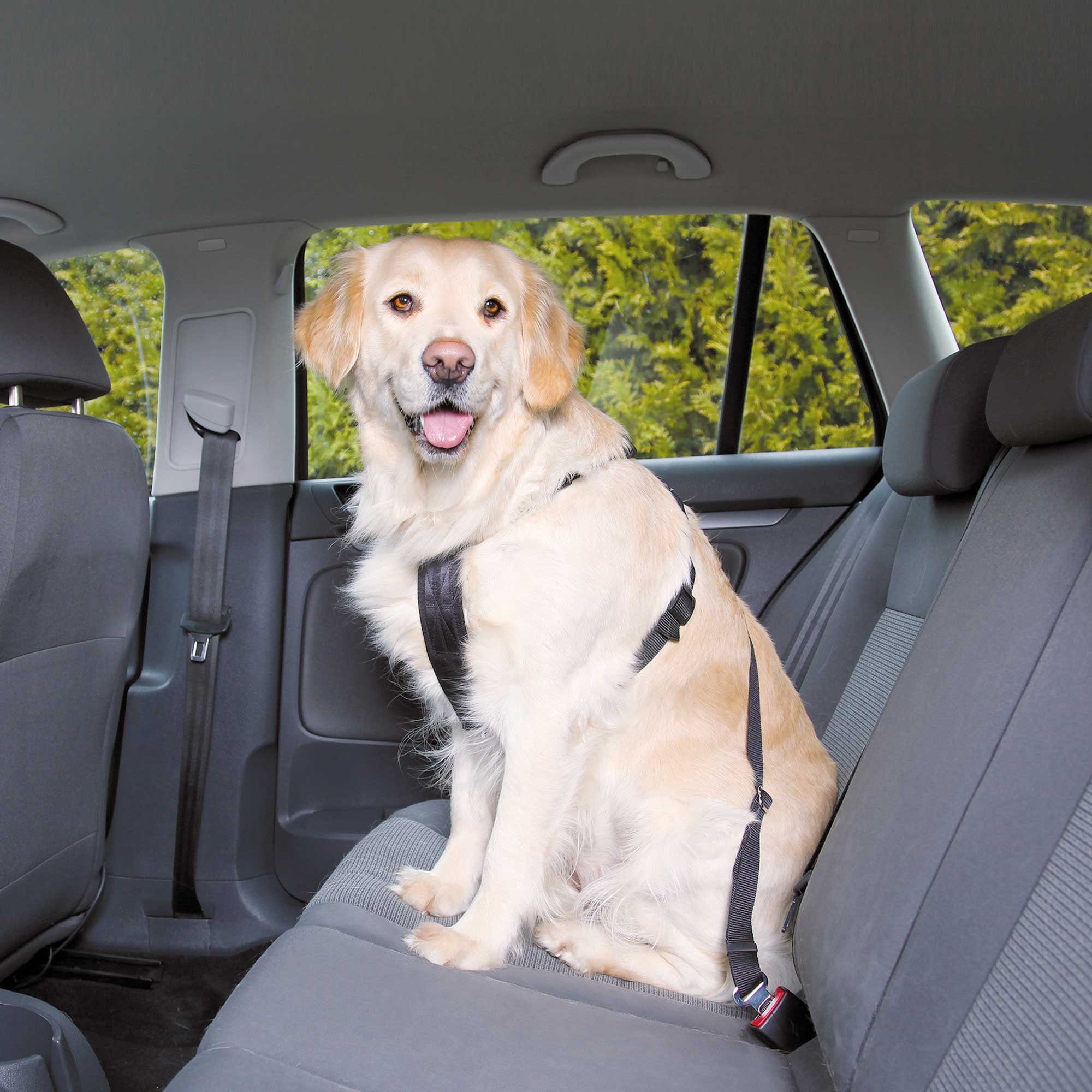 TRIXIE Hunde-Sicherheitsgeschirr DOGGURT Sicherheitsgurt fürs Auto günstig online kaufen