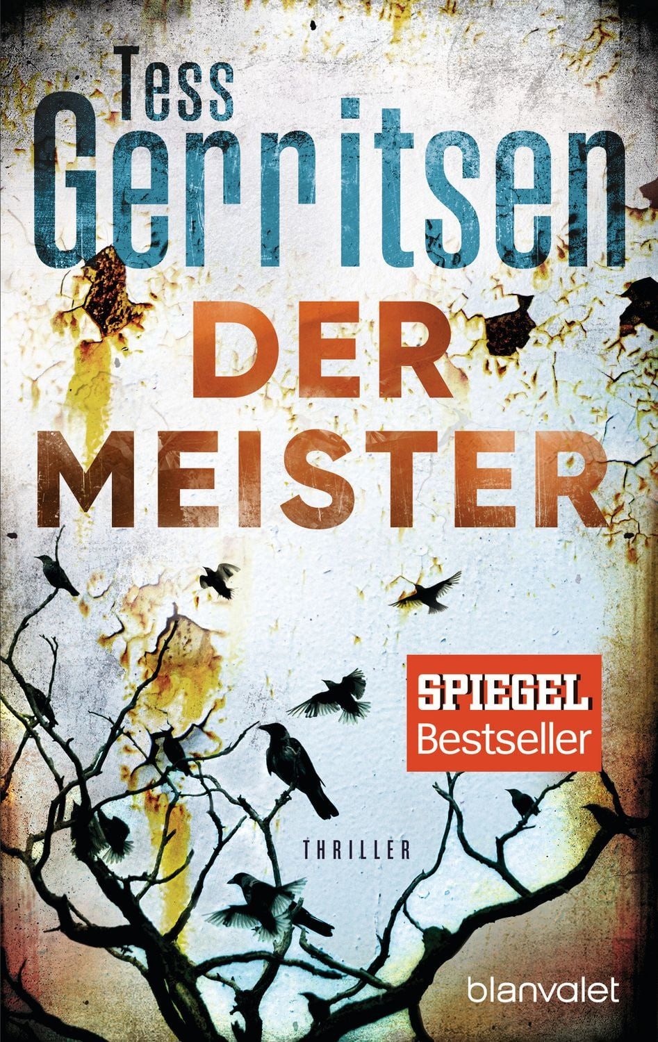 Der Meister / Tess Gerritsen, Thriller