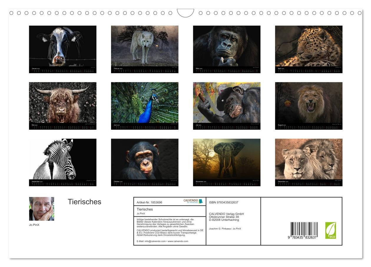 Thumbnail - CALVENDO Wandkalender Tierisches (Wandkalender 2025 DIN A3 quer), CALVENDO Monatskalender