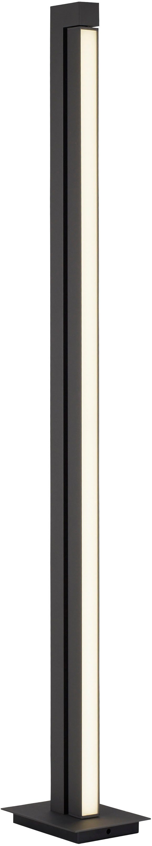 Neuhaus PURE LED Stehlampe PURE Lines Floor, CCT - über Fernbedienung, LED fest integriert, warmweiß - kaltweiß, CCT Farbsteuerung, dimmbar über Fernbedienung, Fußschalter