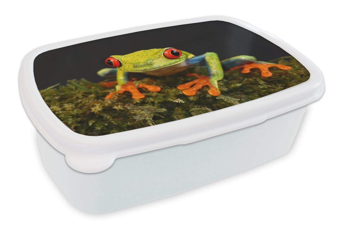 MuchoWow Lunchbox Frosch - Augen für Erwachsene, (2-tlg), und Brotbox für weiß Kinder Brotdose, Rot - und Grün, - Mädchen Jungs Kunststoff