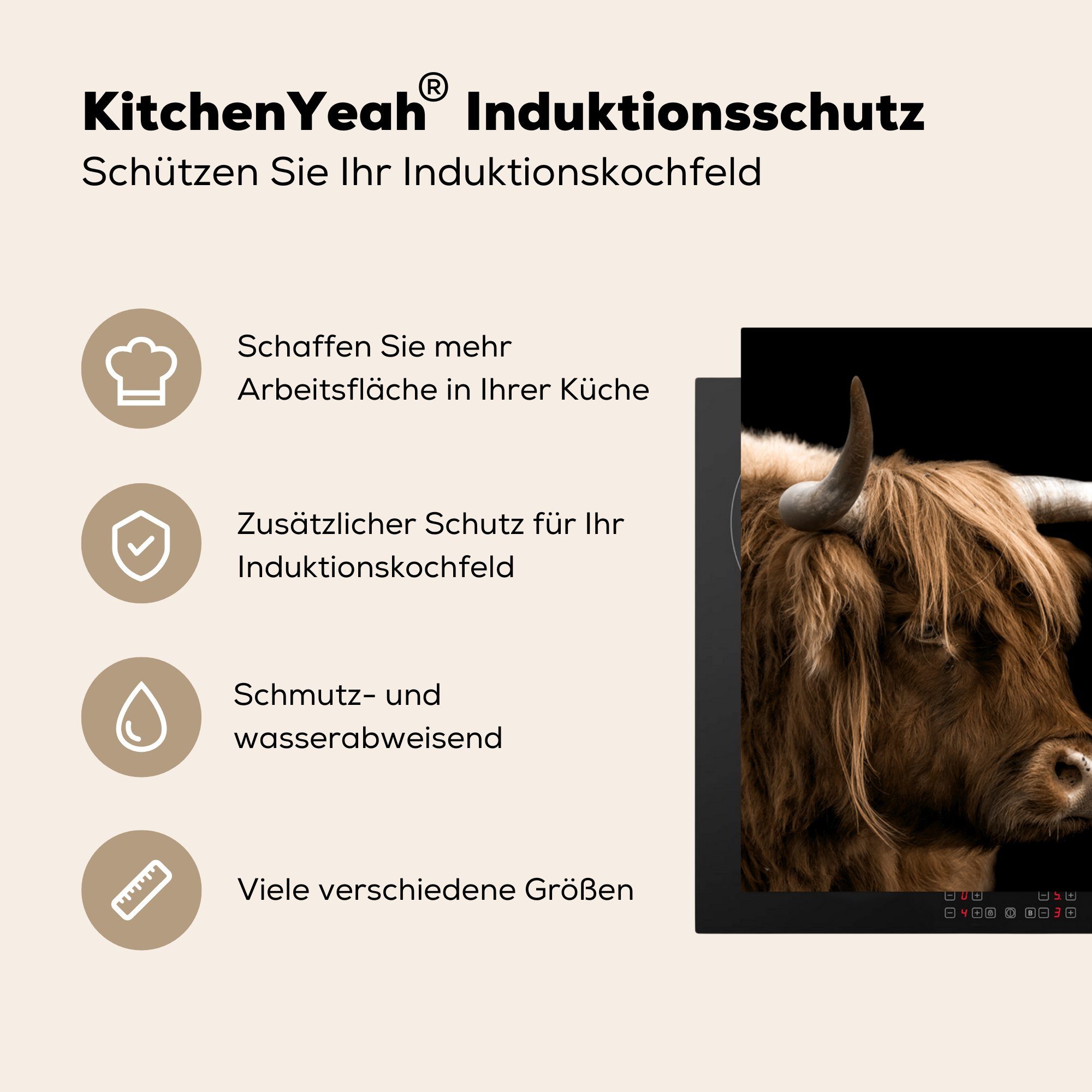 für Arbeitsplatte küche - - cm, Schottischer (1 Vinyl, tlg), 78x78 Highlander Ceranfeldabdeckung, Kuh, MuchoWow Herdblende-/Abdeckplatte Tiere