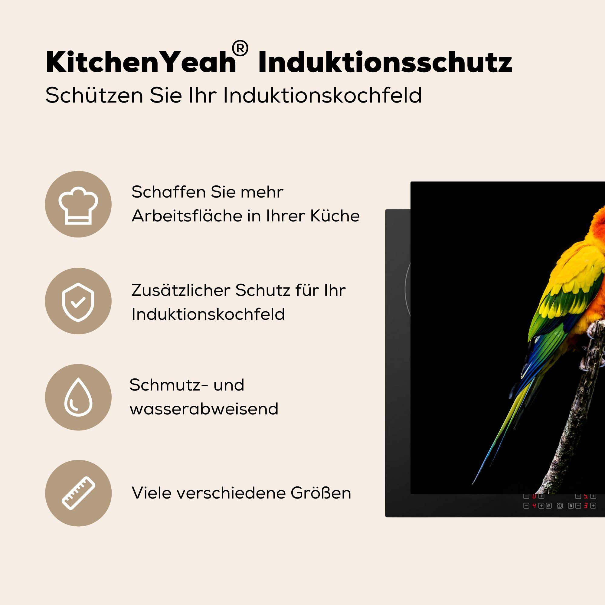 MuchoWow Herdblende-/Abdeckplatte Ein farbenfroher Ast Arbeitsfläche auf (1 Vinyl, nutzbar, cm, schwarzem, 60x52 einem sitzt vor tlg), Mobile Sonnensittich Ceranfeldabdeckung