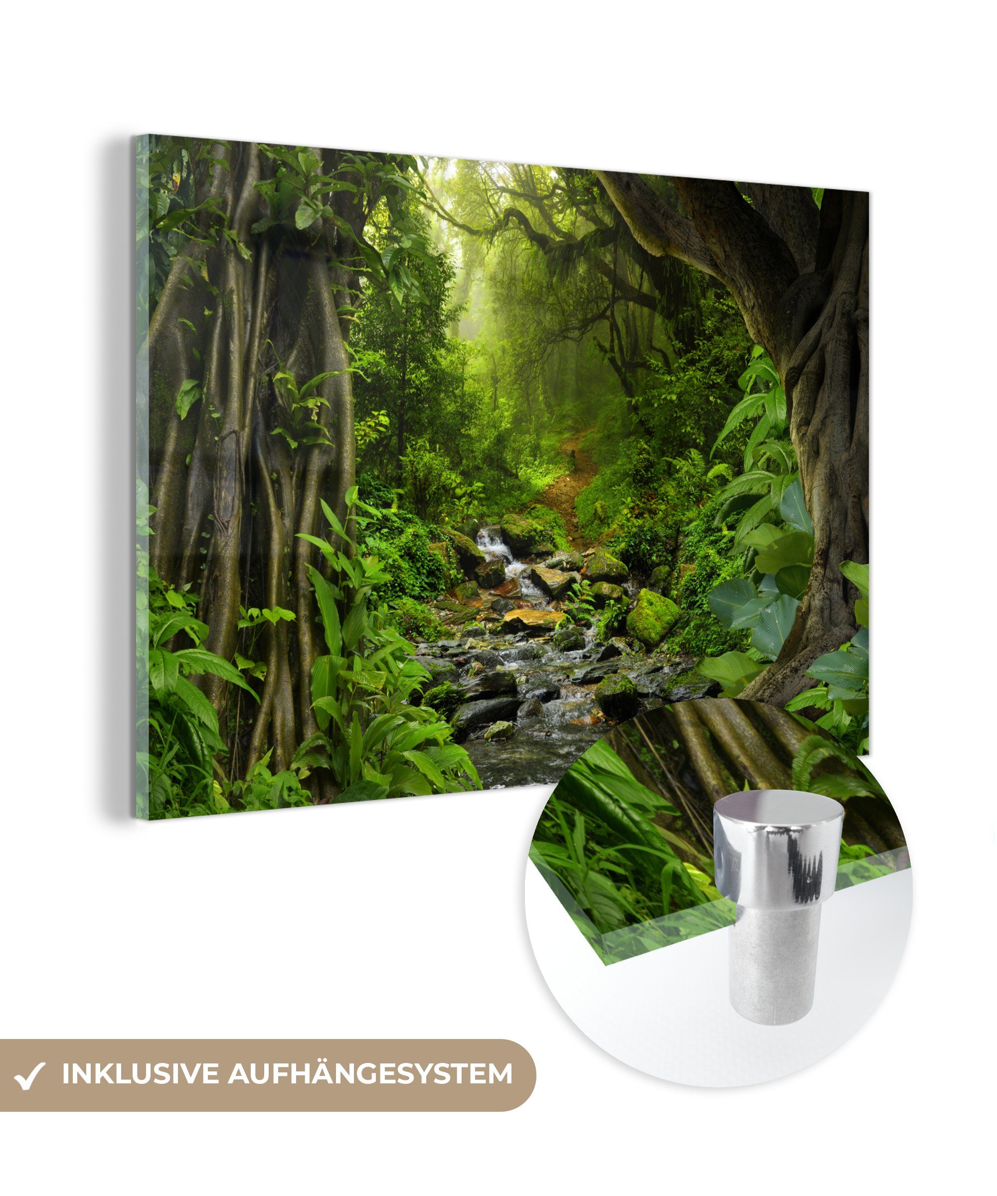 MuchoWow Acrylglasbild Natur - Wasser - Dschungel - Wald - Tropisch, Inkl. günstig online kaufen