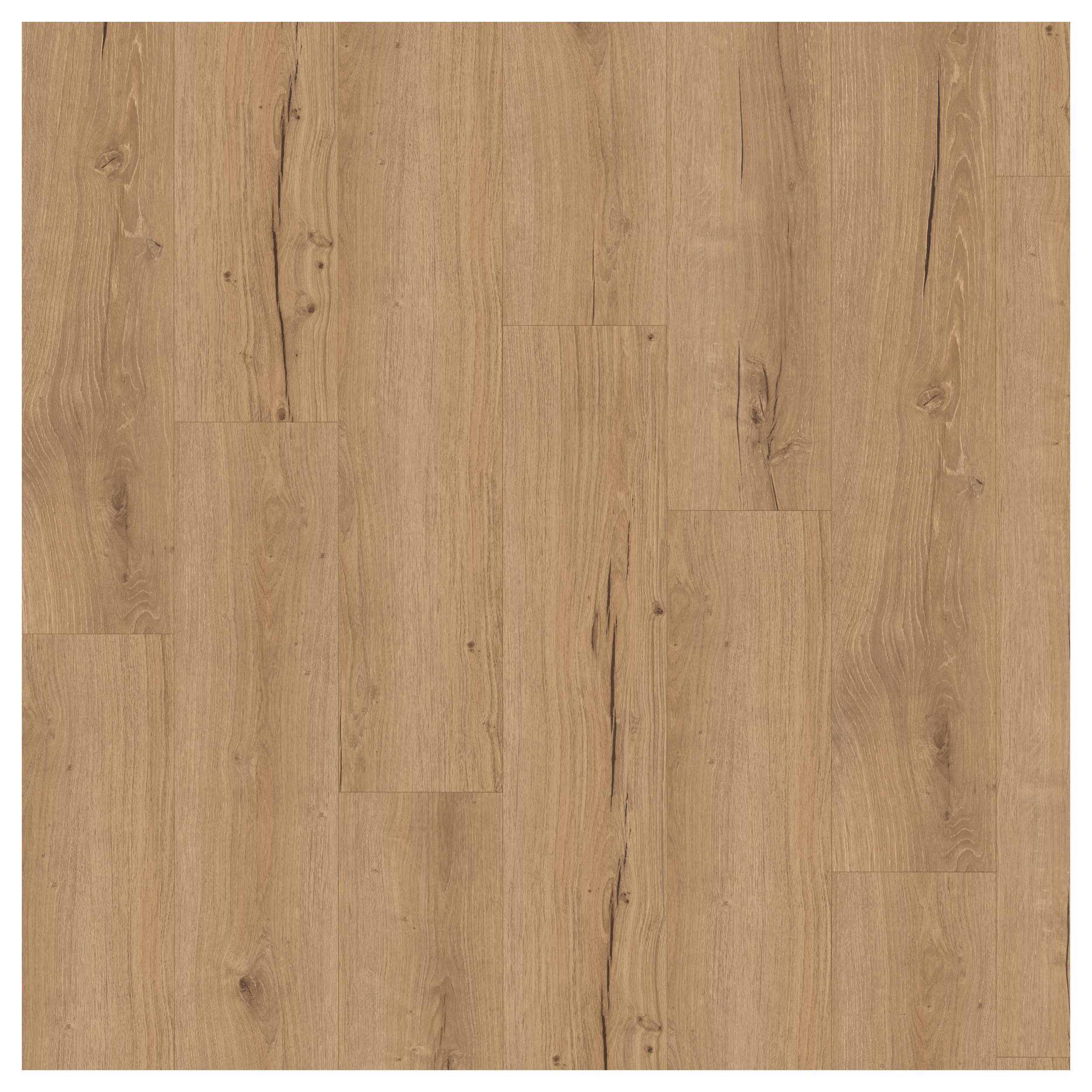 PARADOR Vinylboden Classic 2070 Eiche Cambridge natur, Besonders leise, antibakteriell und hygienisch, Klickvinyl 1,904m² (7 Dielen) pro Karton