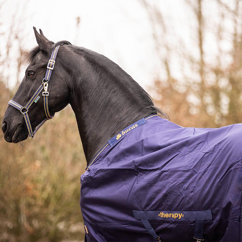 Bucas Pferde-Regendecke Bucas Therapy Turnout Big Neck Light 0g