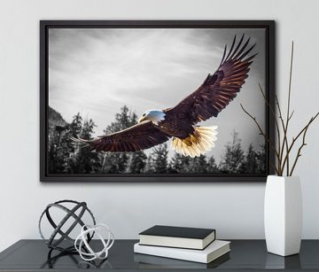Pixxprint Leinwandbild großer fliegender Adler, Wanddekoration (1 St), Leinwandbild fertig bespannt, in einem Schattenfugen-Bilderrahmen gefasst, inkl. Zackenaufhänger