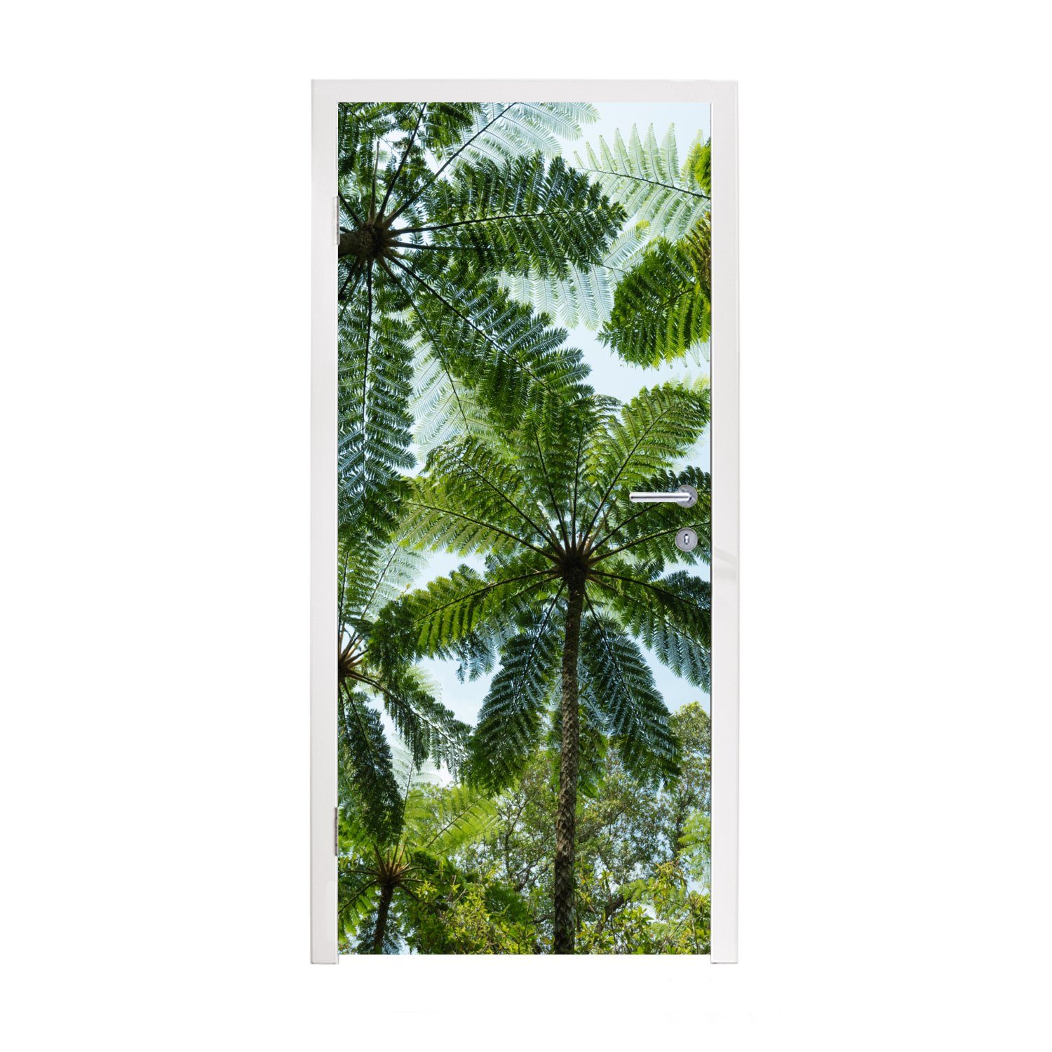 MuchoWow Türtapete Bäume im Blätter cm Matt, bedruckt, Tür, für und 75x205 Türaufkleber, St), Dschungel, (1 Fototapete