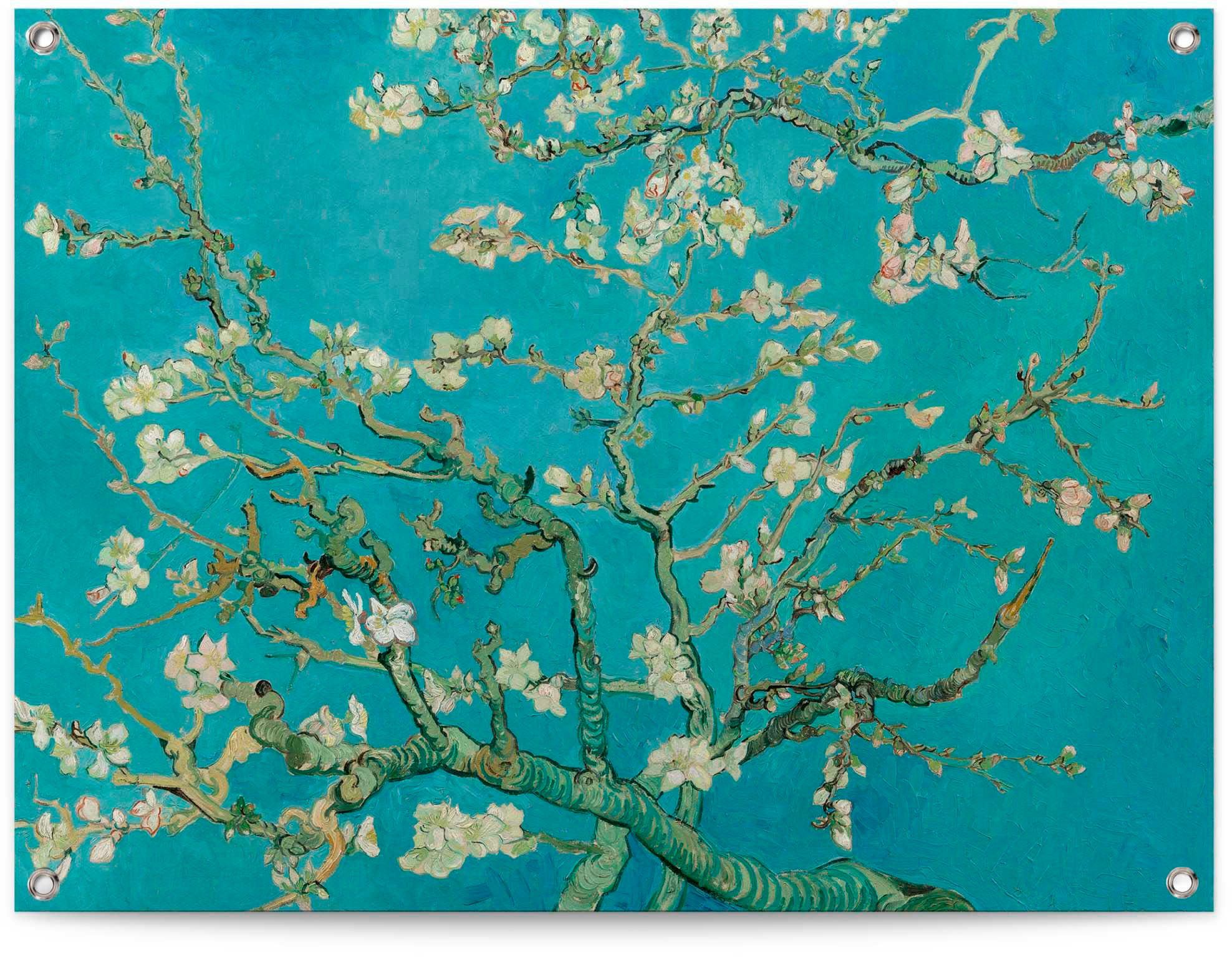 Reinders! Poster Mandelblüte - Vincent Gogh van