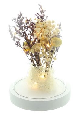 Dekoleidenschaft LED Dekoobjekt Dekoglocke "Lights" mit Trockenblumen-Strauss und LED Lichterkette, LED fest integriert, transparente Glocke auf Holzsockel, Kuppel, Leuchtdeko für Wohnzimmer