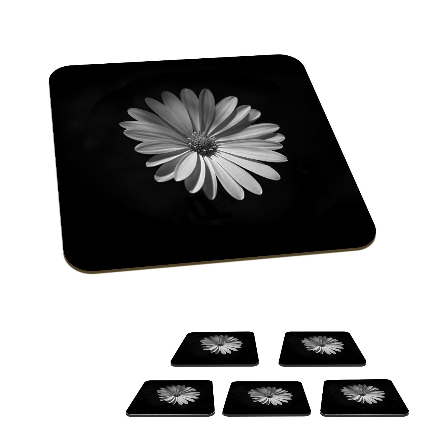 MuchoWow Glasuntersetzer Ein weißes Gänseblümchen auf schwarzem Hintergrund, Zubehör für Gläser, 6-tlg., Glasuntersetzer, Tischuntersetzer, Korkuntersetzer, Untersetzer, Tasse
