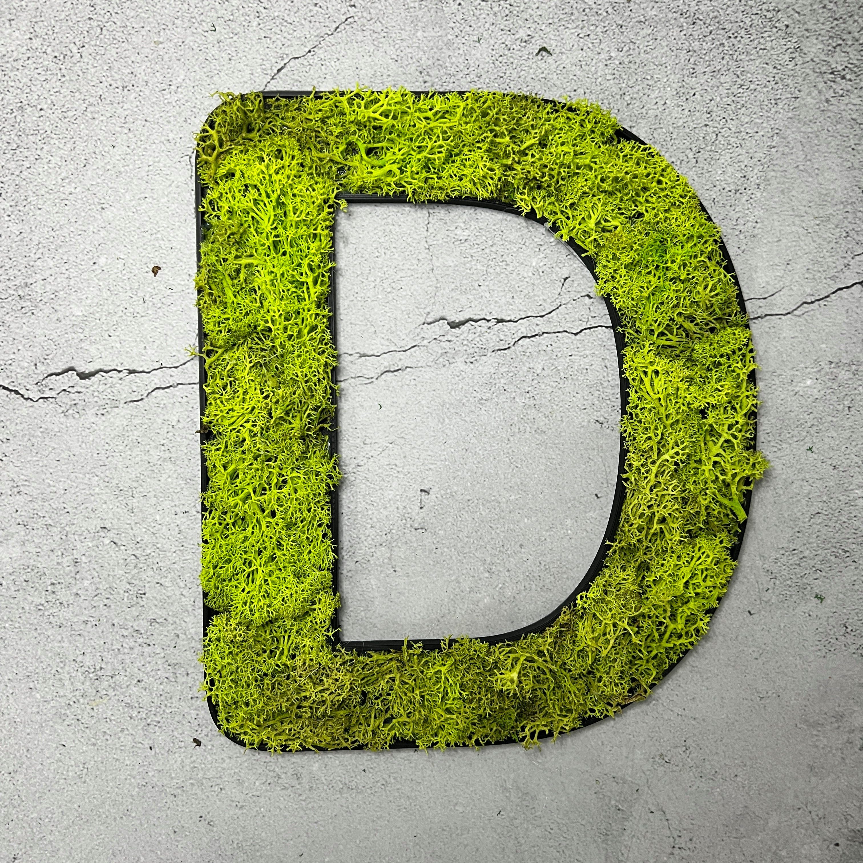 dixtime Wanddekoobjekt Islandmoos – Buchstabe, Immergrün günstig online kaufen