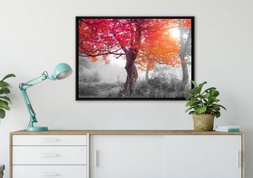 Pixxprint Leinwandbild Zauberhafte Waldlandschaft, Wanddekoration (1 St), Leinwandbild fertig bespannt, in einem Schattenfugen-Bilderrahmen gefasst, inkl. Zackenaufhänger
