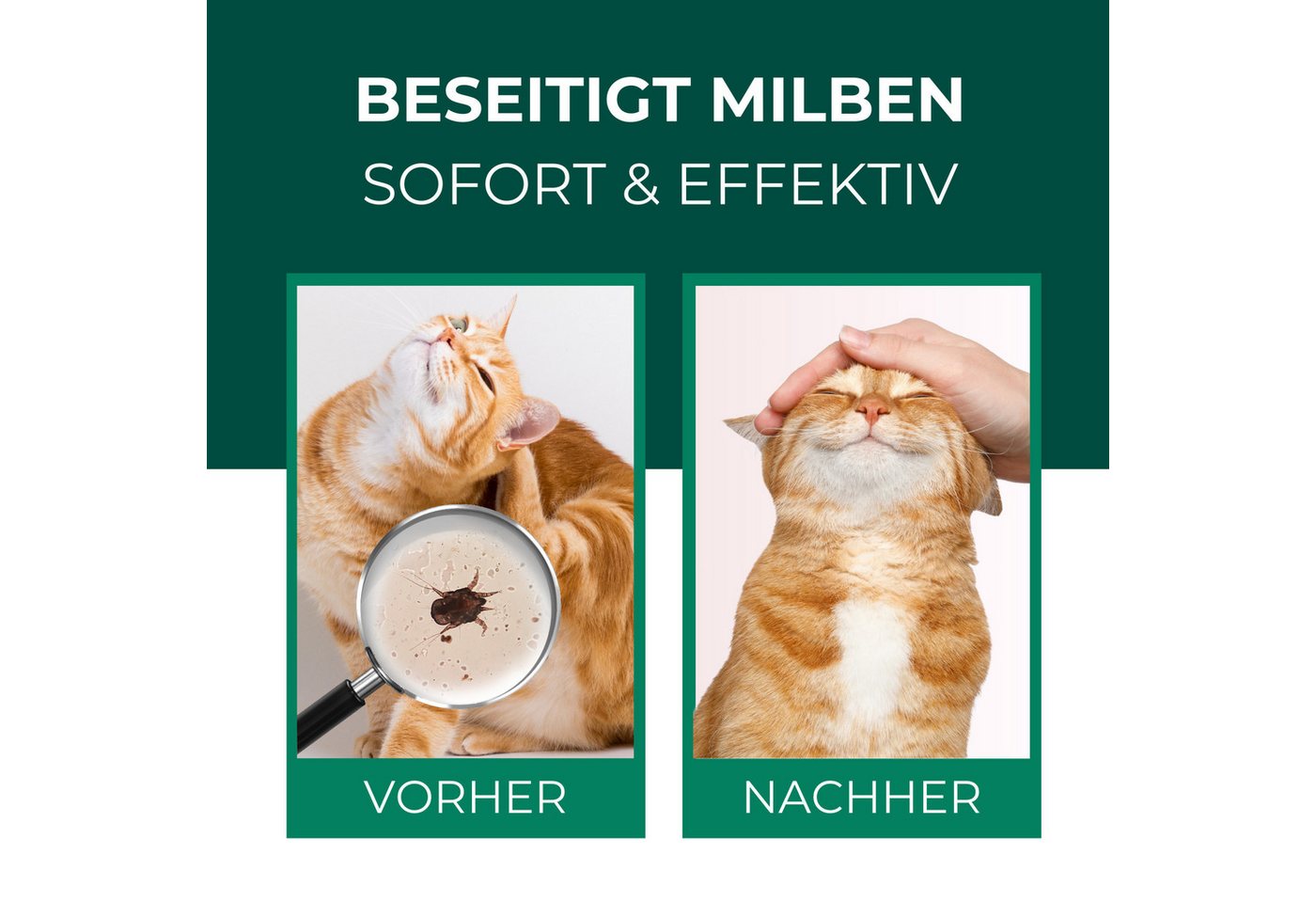 Thumbnail - Silberkraft Insektenspray Silberkraft Milbenspray Katzen, gegen Grabmilben & Herbstgrasmilben, 2000 ml, 1-St., Anti-Milb...
