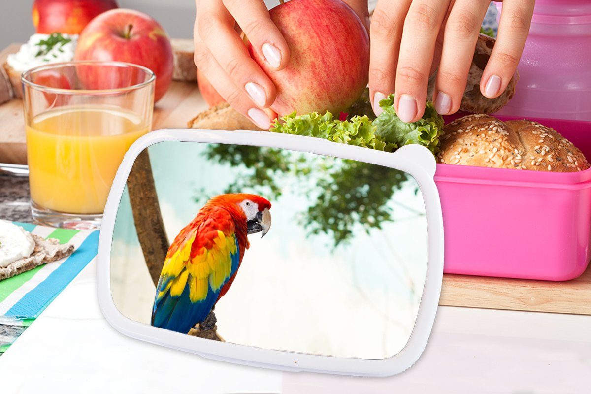 MuchoWow Lunchbox - (2-tlg), Vogel Kunststoff, Papagei Tropisch, - Kinder, rosa Mädchen, Brotdose Brotbox Regenbogen Snackbox, - Kunststoff Erwachsene, für