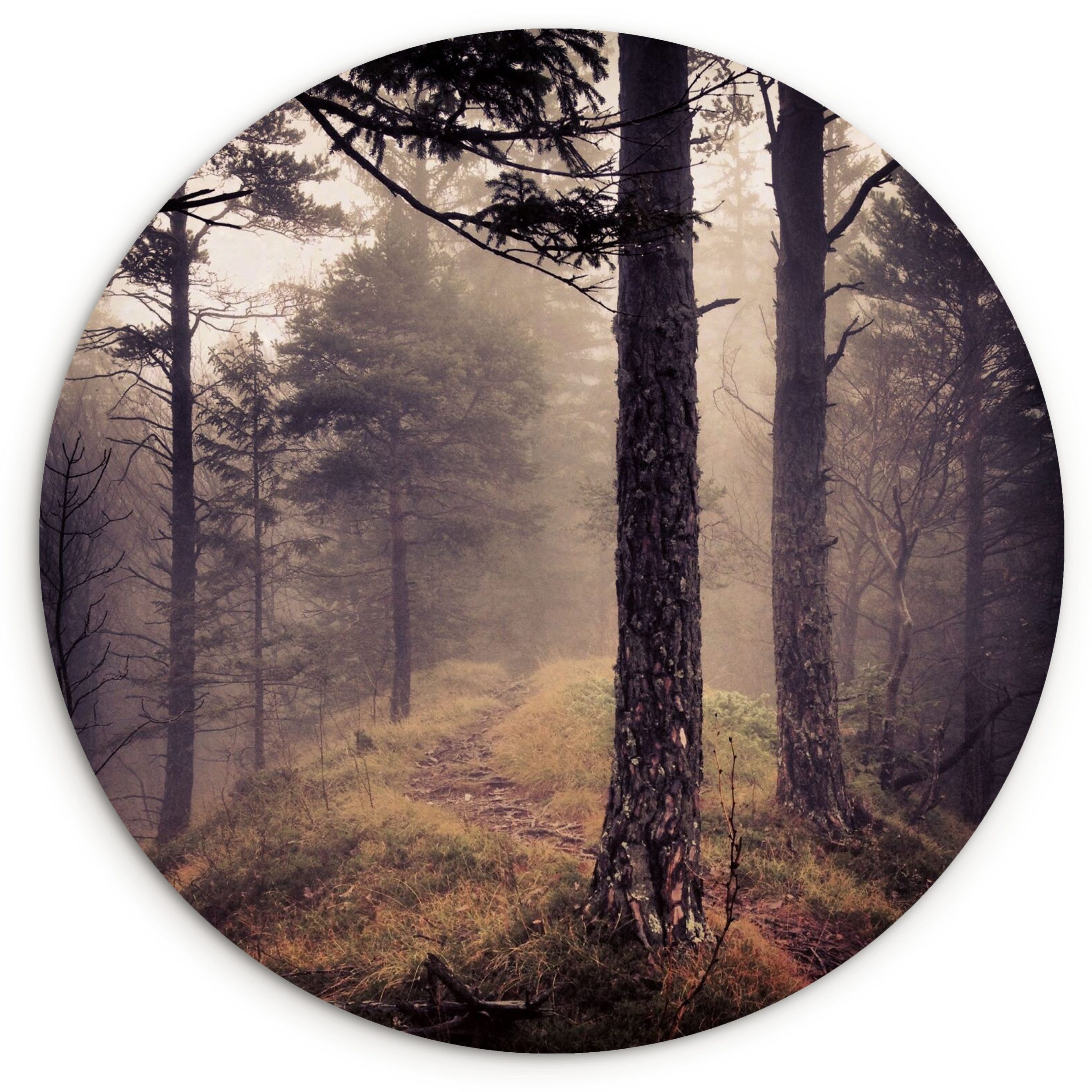 MuchoWow Картина Nebel - Herbstdekoration - Natur - Wald, Fotodruck (1 St), Kreis Wanddekoration, Rundes Wandbild, 30x30 cm