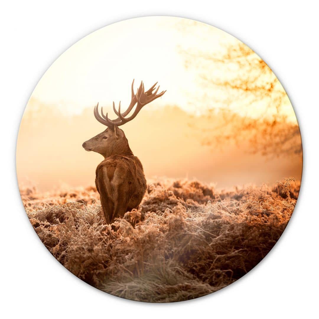 K&L Wall Art Gemälde Hirsch Wandschutz Glas Wandbild Glasbild Majestätischer Waldtiere, Bilder Deko Rund Wald