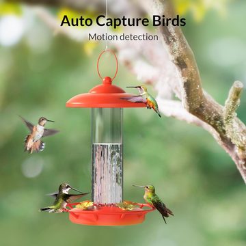 YI Intelligente Kamera für Vogelfütterung, Kamera zur Vogelbeobachtung Überwachungskamera