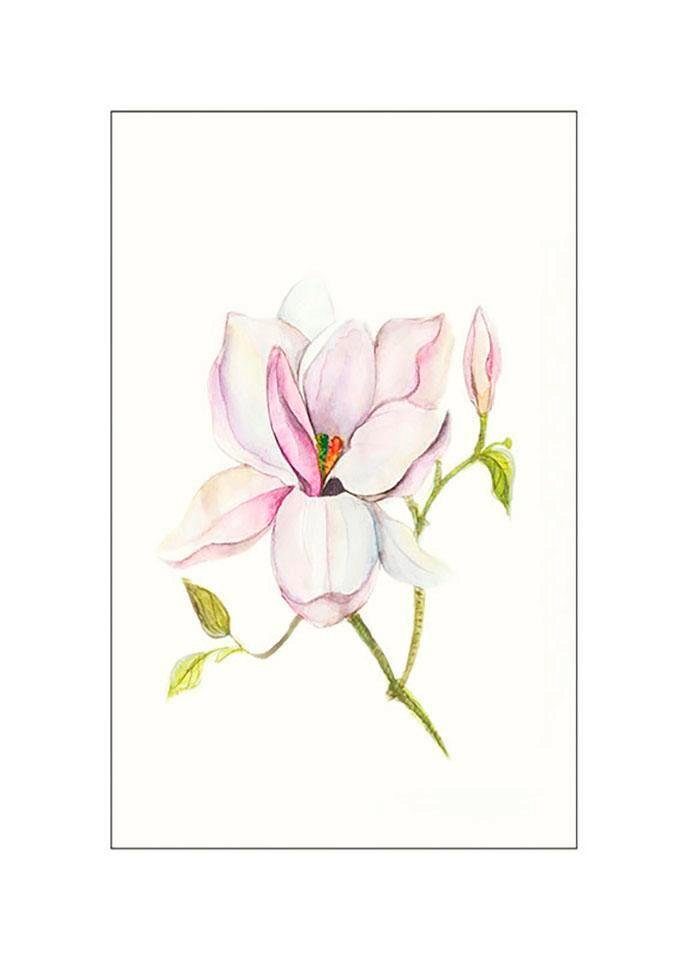 Komar Bild Magnolia Shine, Blätter, Pflanzen (1 St), Wandbild zur Dekoration - ohne Rahmen