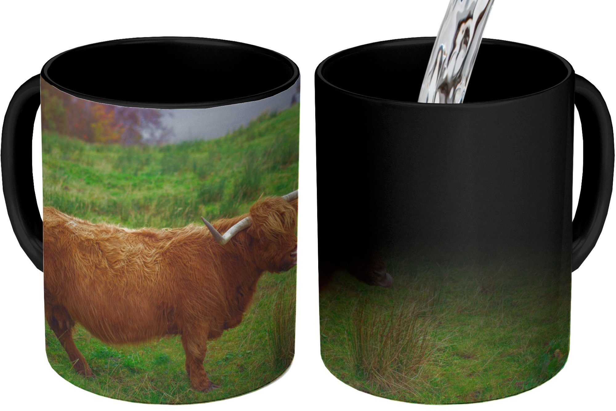 MuchoWow Tasse Schottische Tiere, Kaffeetassen, Farbwechsel, Highlander Keramik, Gras - Teetasse, - Wasser - Zaubertasse, Geschenk