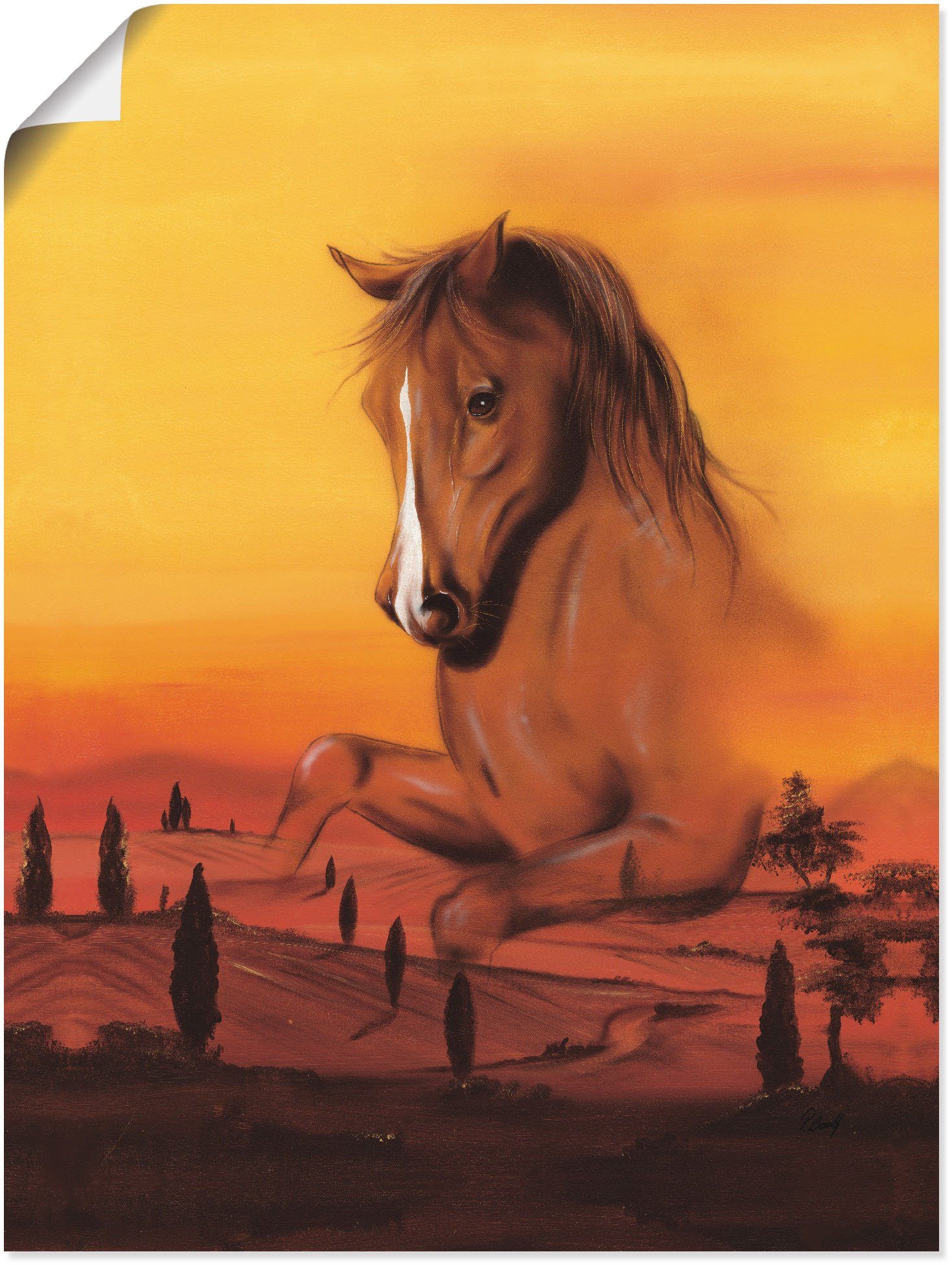 als Wandaufkleber (1 oder Größen Wandbild Leinwandbild, Artland Poster II, versch. Wildpferd Alubild, in St), Pferdebilder