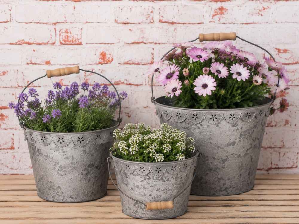 AltoBelli Blumentopf AltoBelli Eimer Set GROSSETO Metall mit Holzgriff 3er Set Blumentöpfe