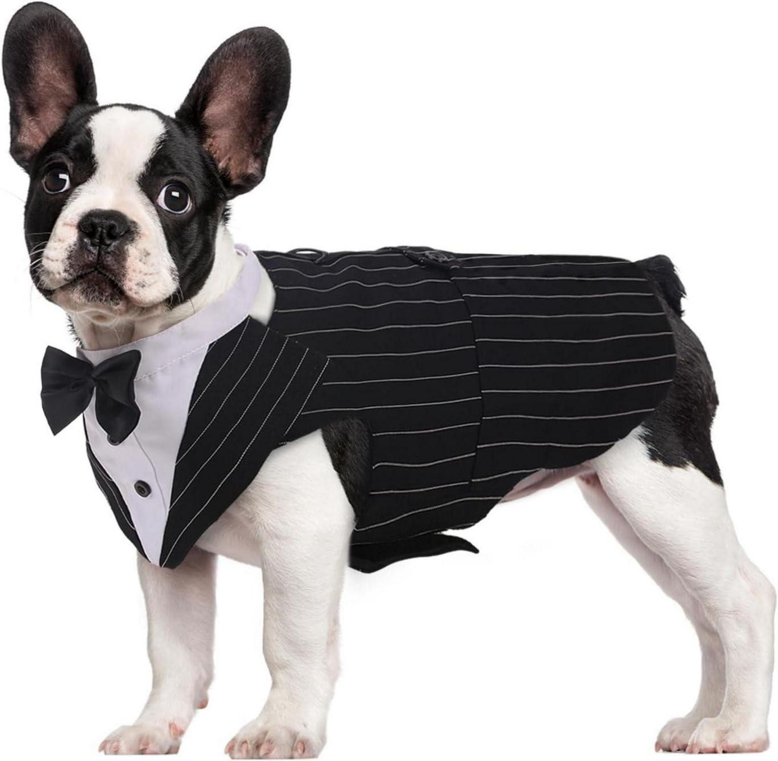 Hundefliege Hund Smoking Bandana Set Hundeanzug Hochzeit Halloween Party S-XXL