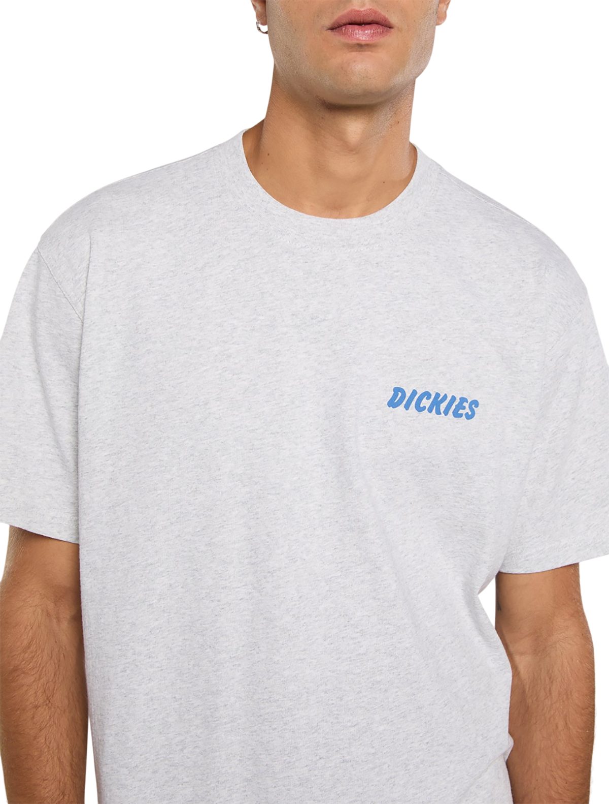 Dickies T-Shirt Dickies Herren T-Shirt Dry Ridge grey